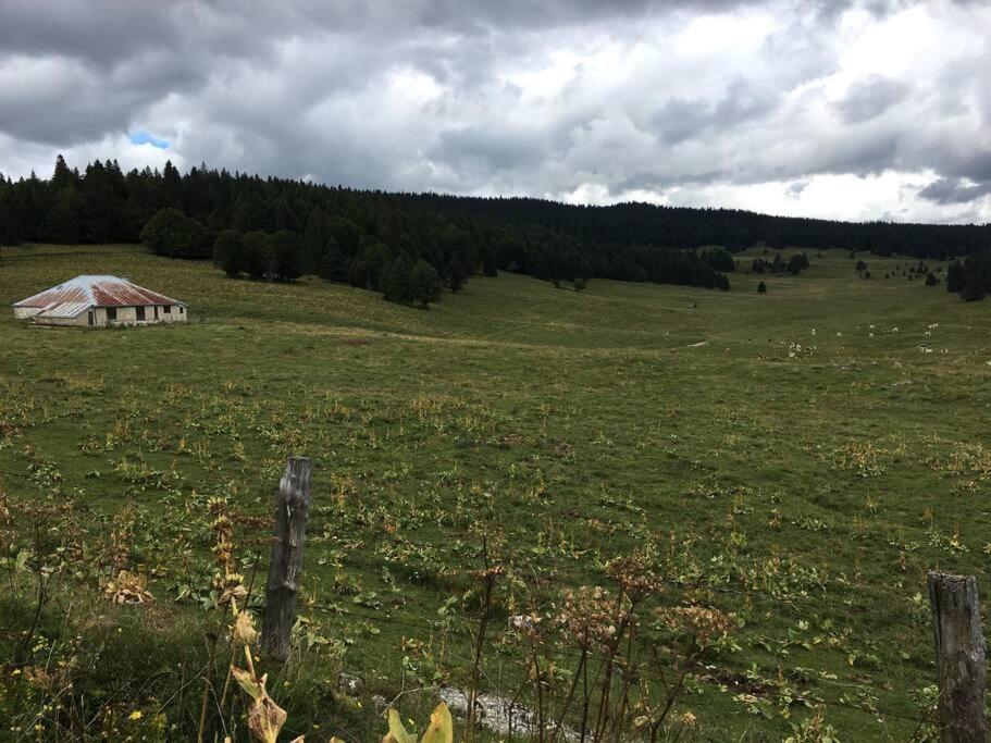 Au Coeur Du Village De Prémanon Exterior foto